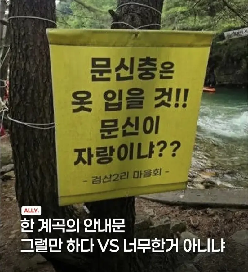 어느 계곡에 설치된 문신충 안내문