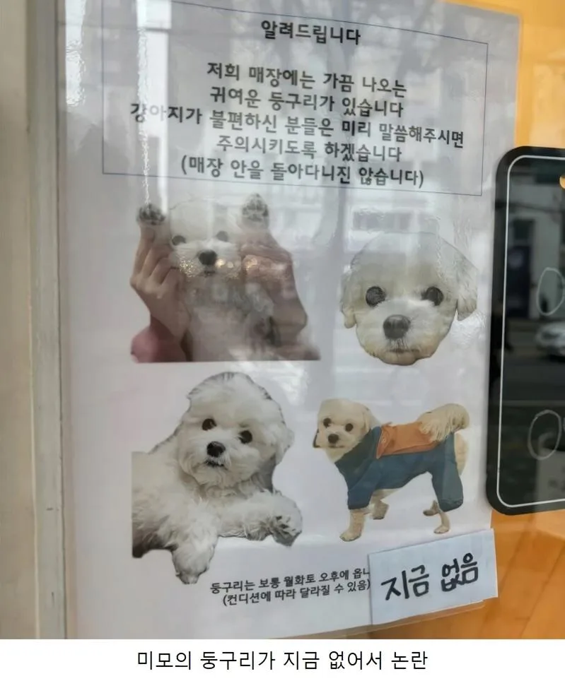 매장 내 강아지 논란.jpg
