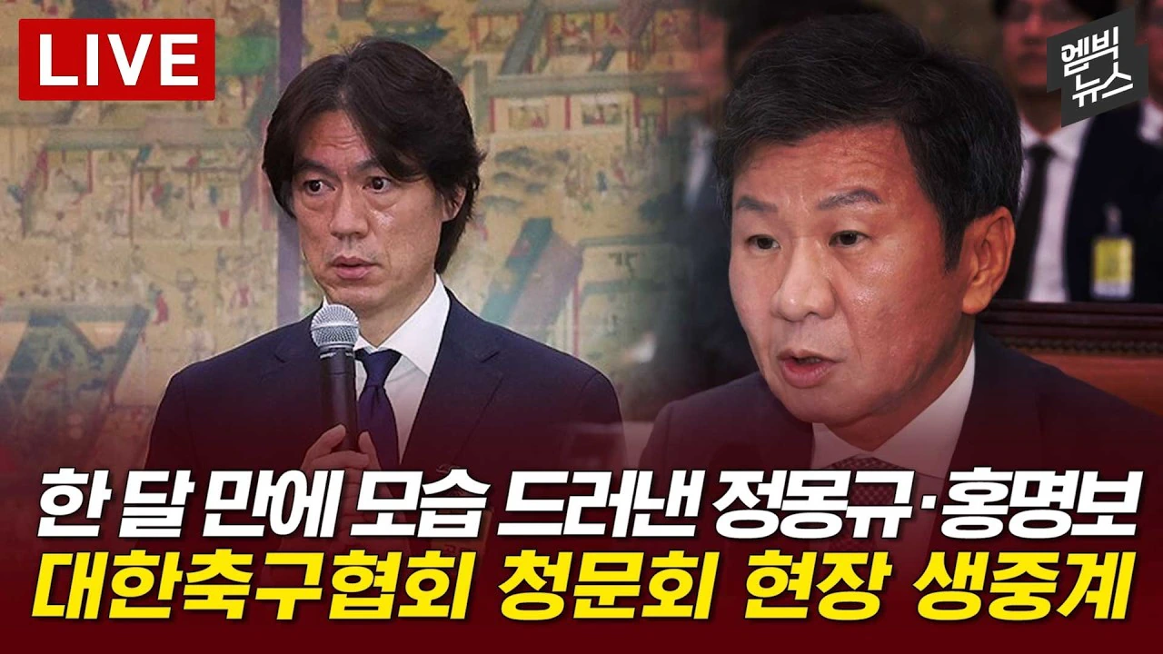 대한축구협회 청문회 박동희기자의 직격
