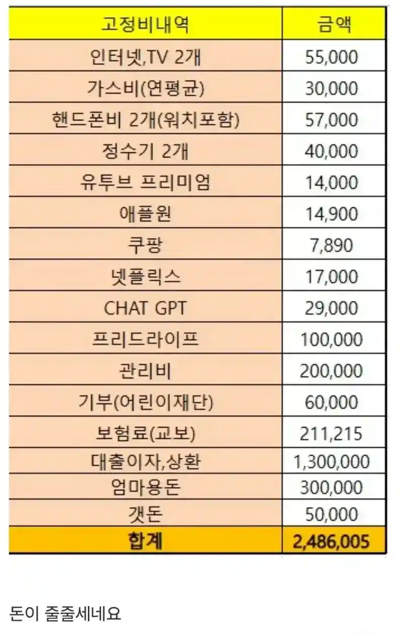 숨만 쉬어도 250만원 나간다는 40대 독거남