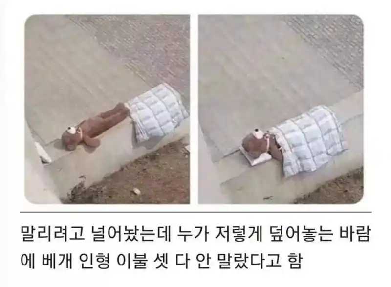 친절함이 부른 참사JPG