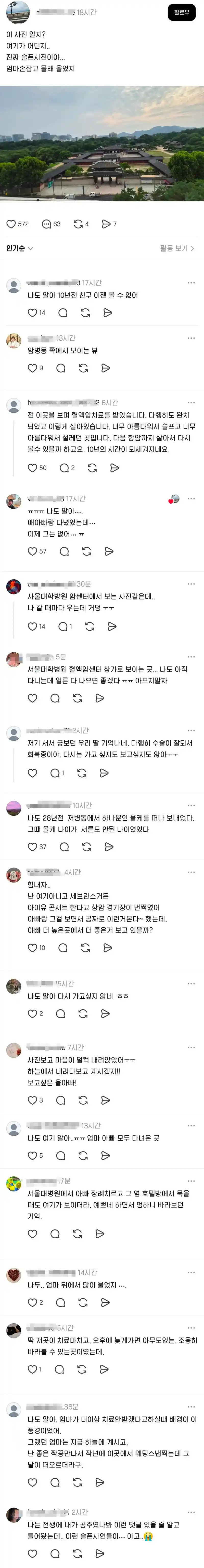 아는 사람만 안다는 슬픈 창경궁 뷰