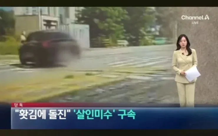 무단횡단녀가 경적 울린다고 말다툼하다가 돌진한 차량