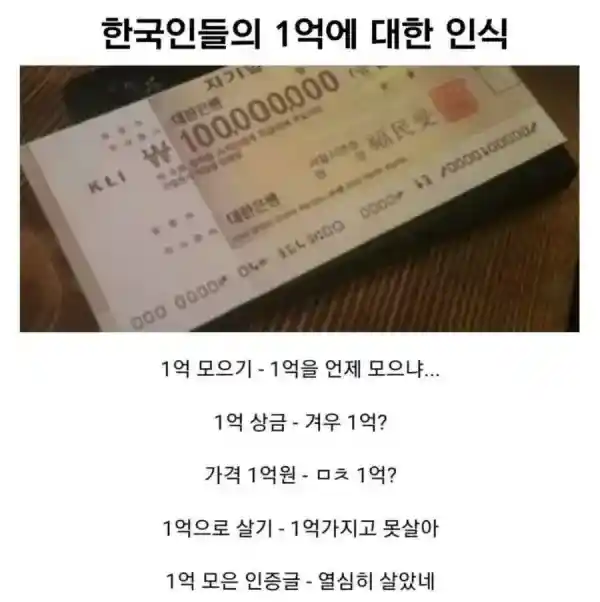 1억에 대한 인식