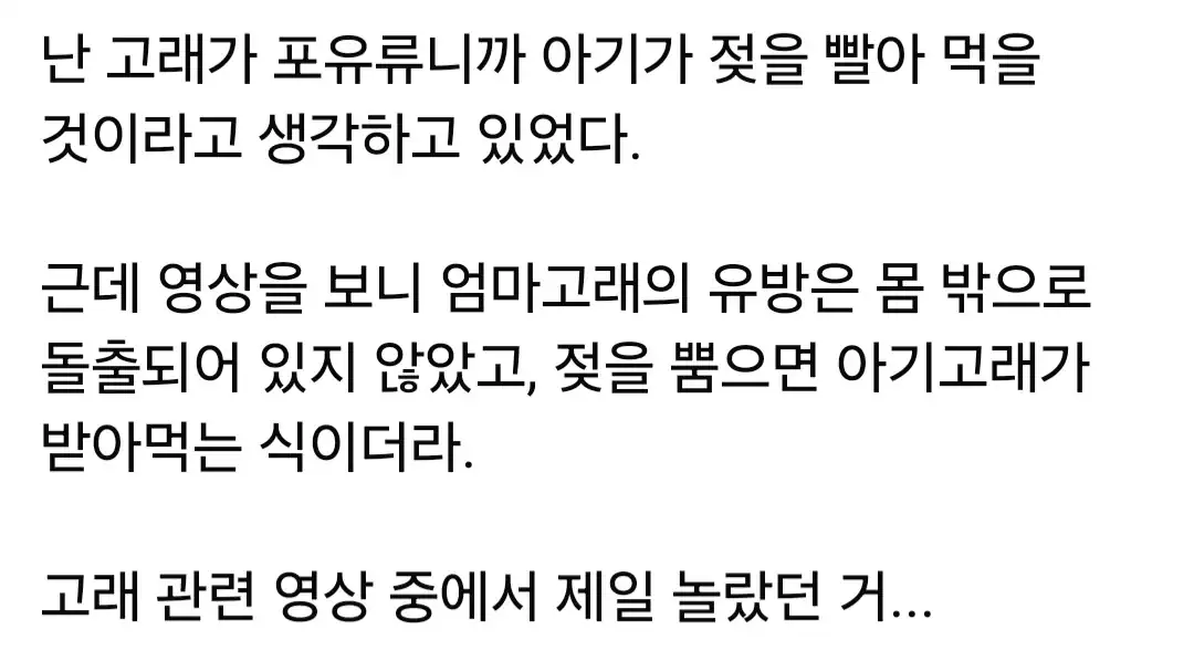 고래가 젖 먹는 방법.jpg