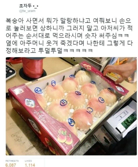 친절한 과일장수