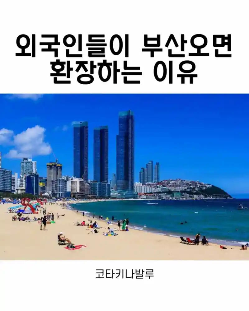 외국인들을 환장하게 만드는 부산