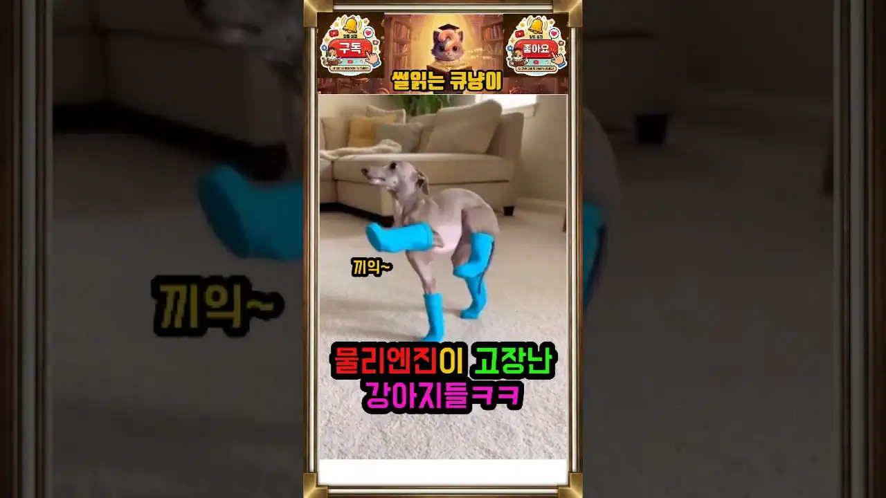 물리엔진 고장난 강아지ㅋ 댕댕이들이 단체로 고장 난다면?