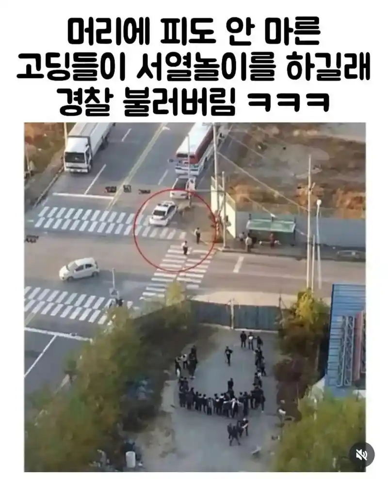 일진 고딩들 서열놀이 신고 후기 ㅋㅋㅋ
