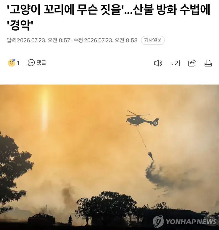 '고양이 꼬리에 무슨 짓을'...산불 방화 수법에 '경악'