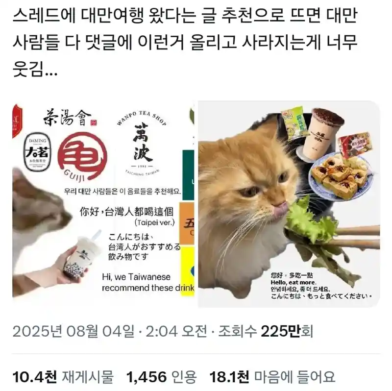 대만 여행 한다고 하면 댓글 달아주는 대만 사람들