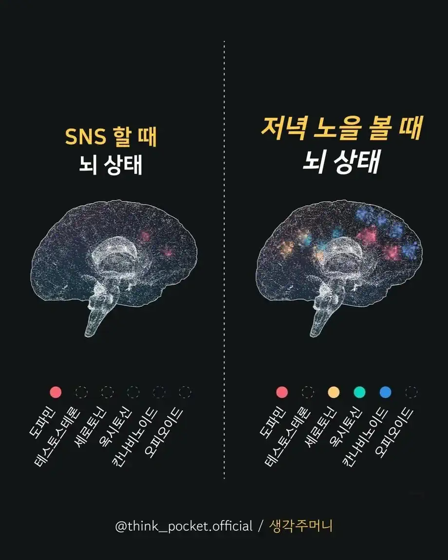 내 뇌에서 분비되는 호르몬