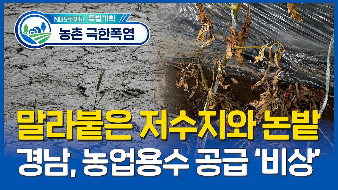 현재 우리나라 날씨 상태