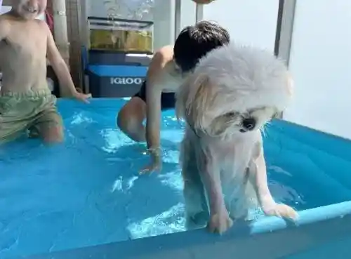 강한척하더니 벌써 가버리는거냐고