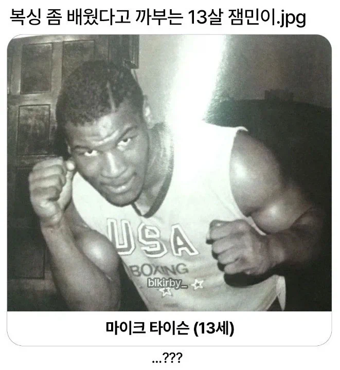 복싱 좀 배웠다고 까부는 잼민이