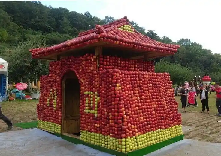 사과문 올립니다