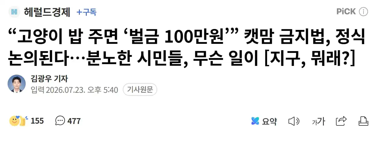 "고양이 밥 주면 '벌금 100만원'" 캣맘 금지법, 정식 논의된다..분노한…