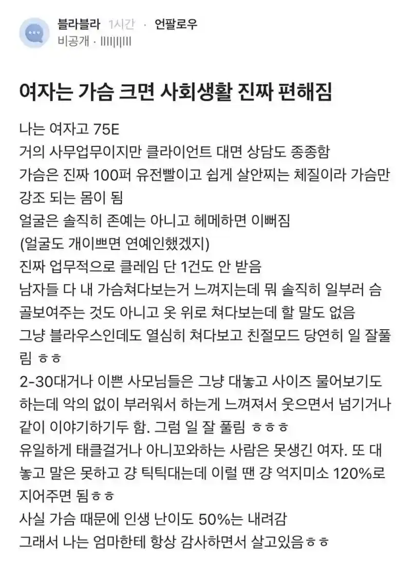 가슴 커서 사회생활 편하다는 블라인