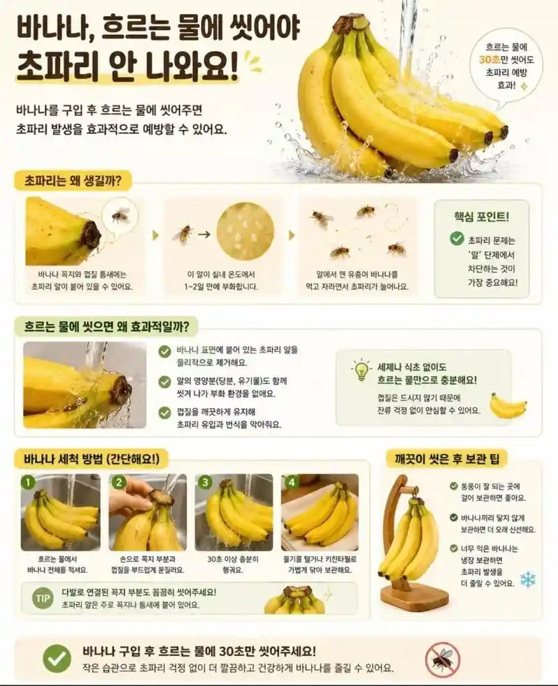 바나나 사면 바로 씻어야 하는 이유