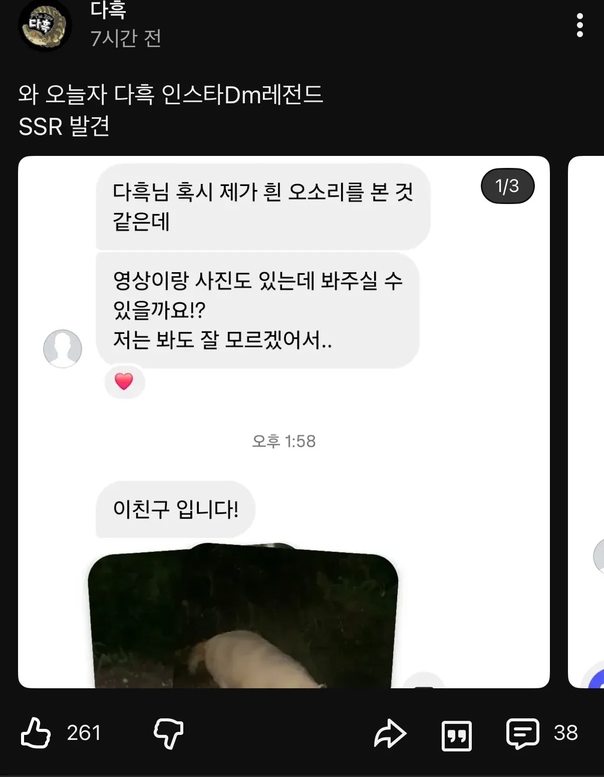 초희귀동물 제보를 받은 유튜버ㄷㄷㄷㄷ