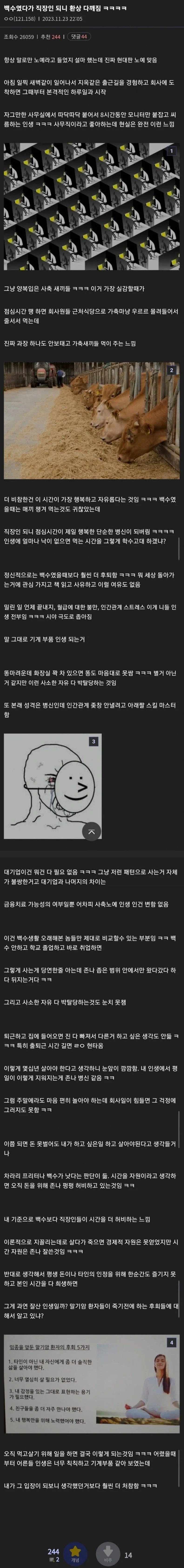 백수였다가 직장인 되니 환상 다 깨졌다는 사람