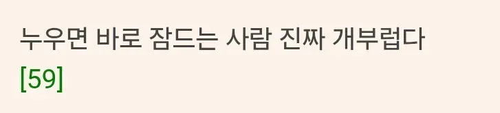 누우면 바로 잠드는 사람 개부럽다