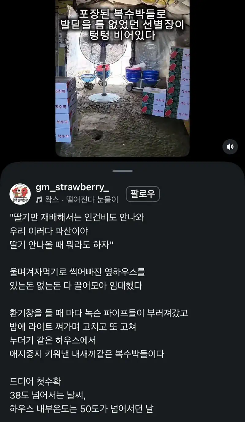 애써 지은 농작물을 짧은 틈에 도난 당했다