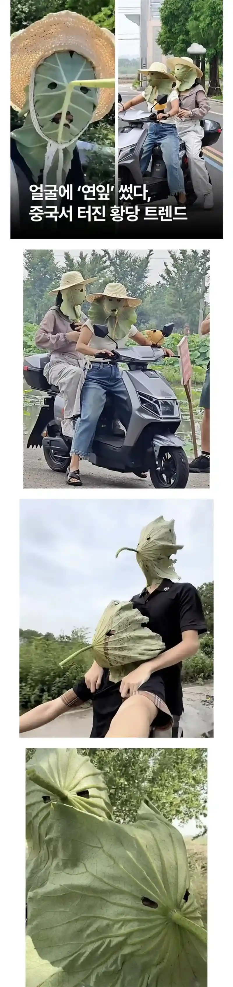 중국에서 퍼지고 있다는 햇빛차단법.jpg