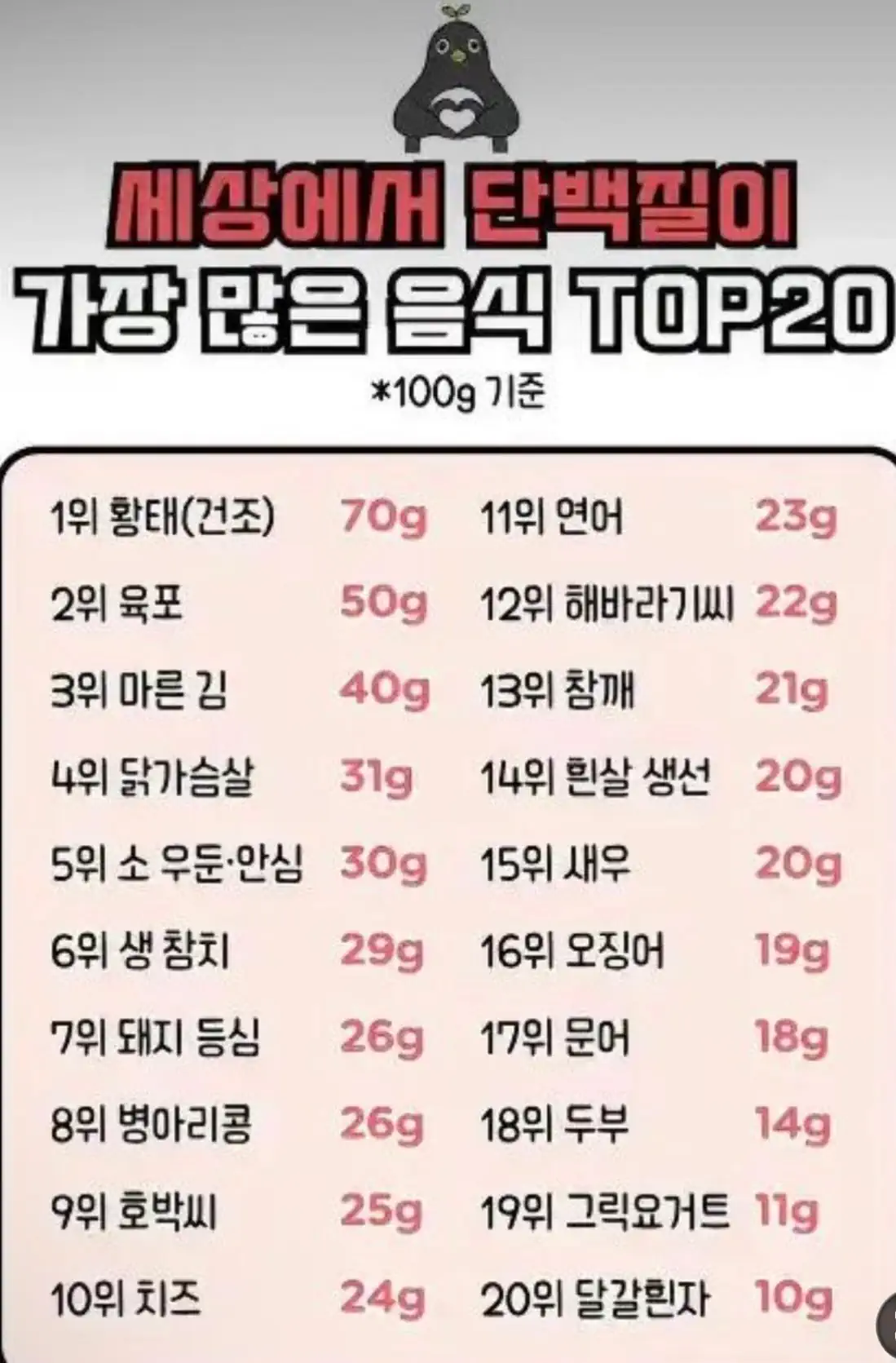세상에서 단백질이 가장 많은 음식