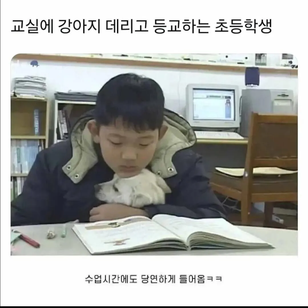 학교에 강아지를 데리고 등교하는 초등학생.jpg