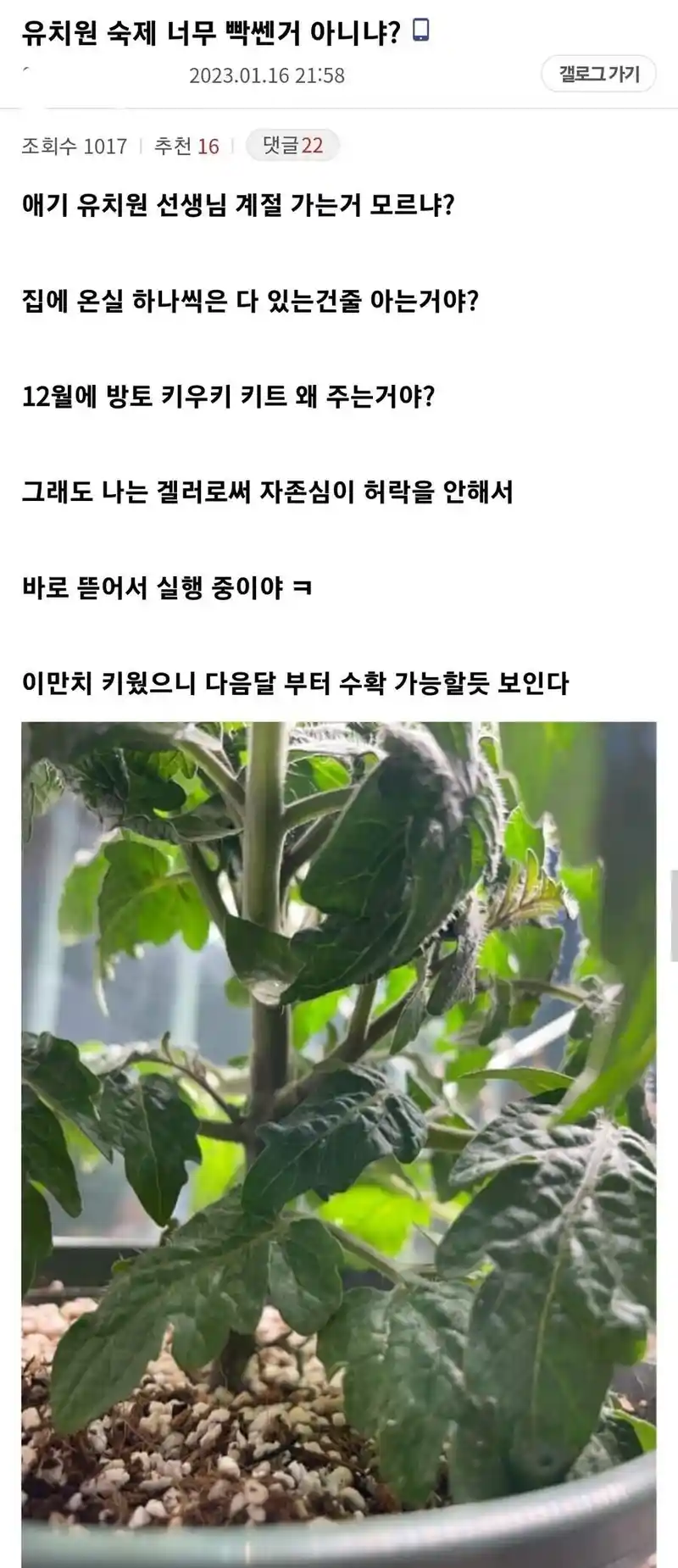유치원에서 내준 숙제