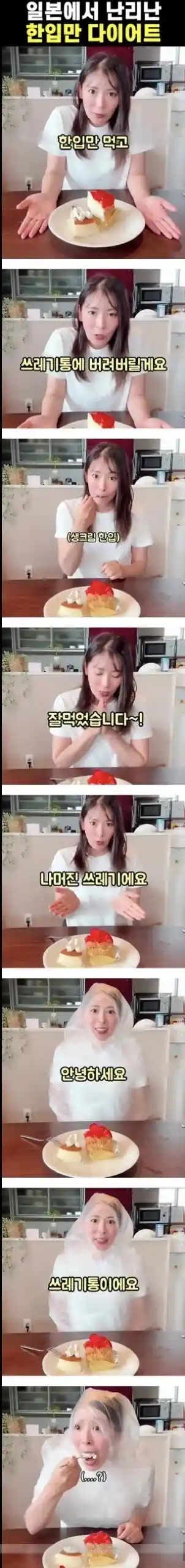 일본에서 화제인 한입 먹고 버리기 다이어트