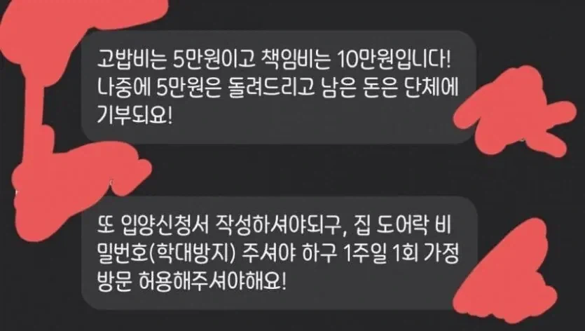 캣맘이 입양보내고 집비번을 달라하는 이유