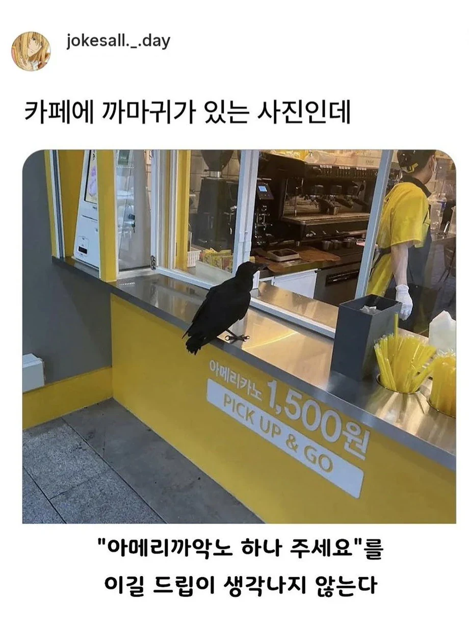 메까악커피.jpg