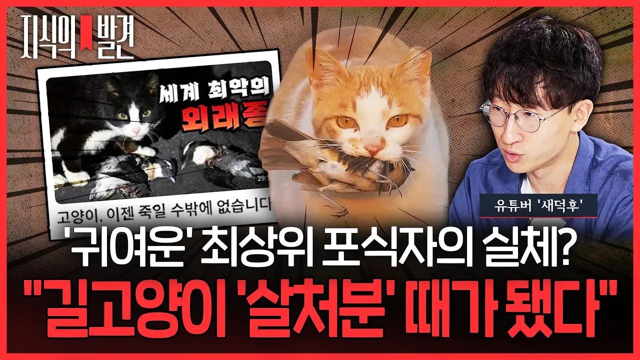 SBS 뉴스 시청자 게시판에 몰려 간 캣맘들