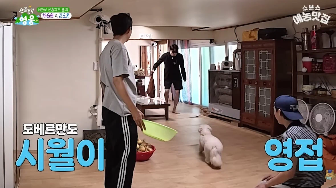 차승원 피하는 강아지…jpg