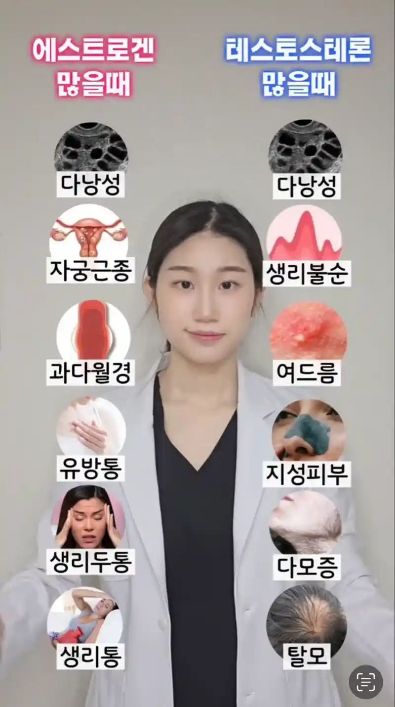 테토녀 에겐녀 구분하는 기준