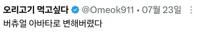 버츄얼 아바타로 변해버렸다