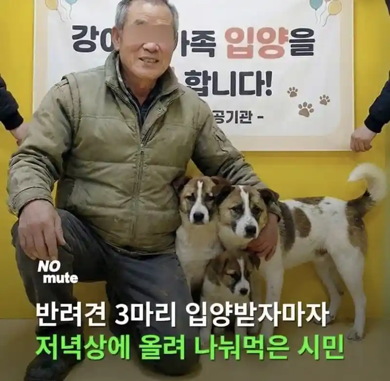 강아지 입양한 또라이 할배