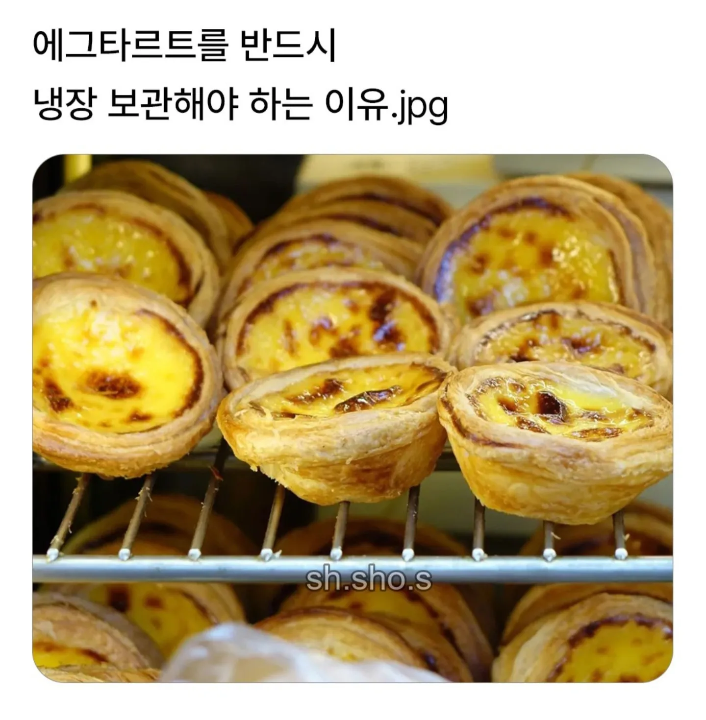 에그타르트를 반드시 냉장보관해야 하는 이유
