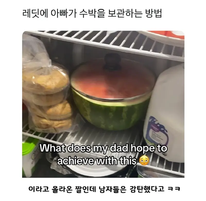 아빠가 수박을 보관하는 방법