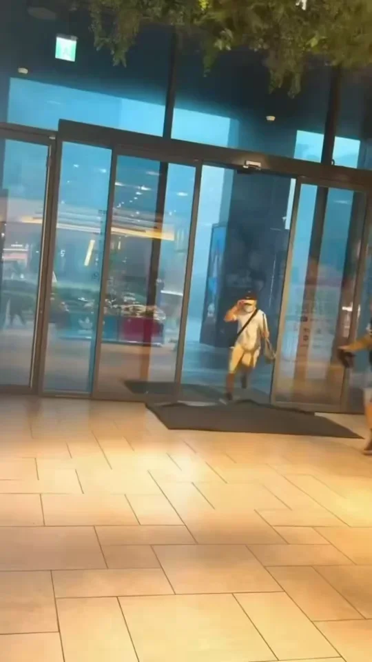 대만 상륙한 태풍 돌핀