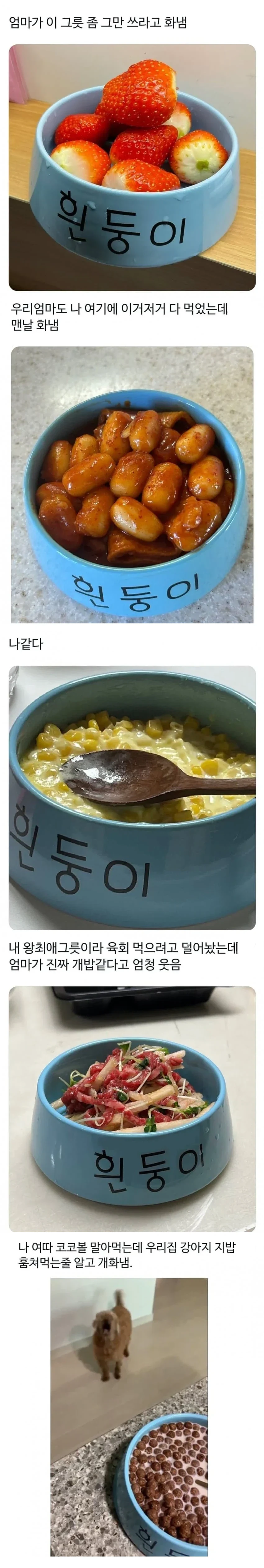 엄마가 이 그릇 좀 그만 쓰라고 화냄