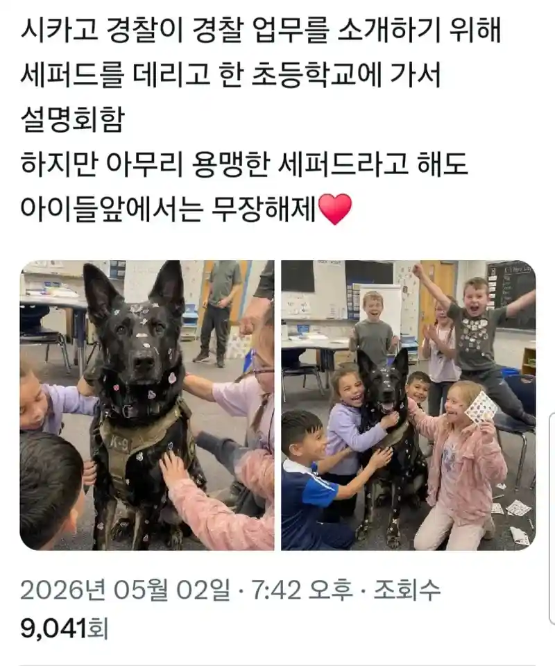 초등학교에 간 경찰견