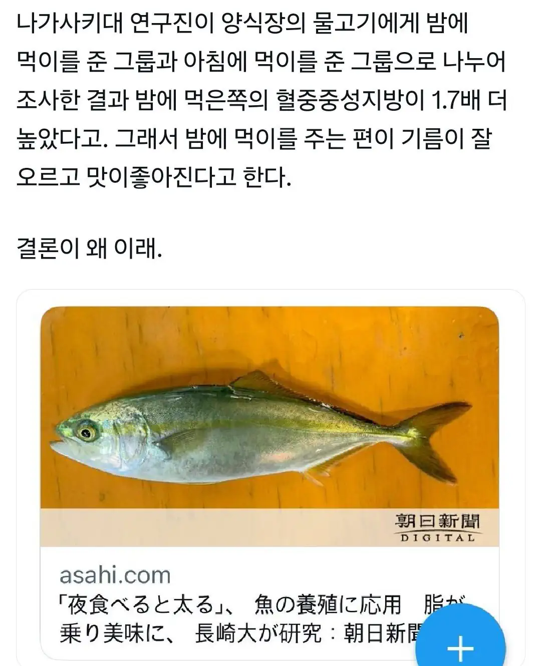 물고기를 살찌우는 꿀팁