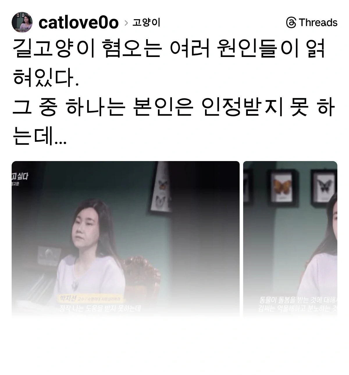 길고양이 혐오는 여러 원인들이 얽혀있다
