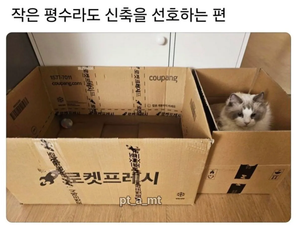 작아도 신축을 좋아하는 편.jpg