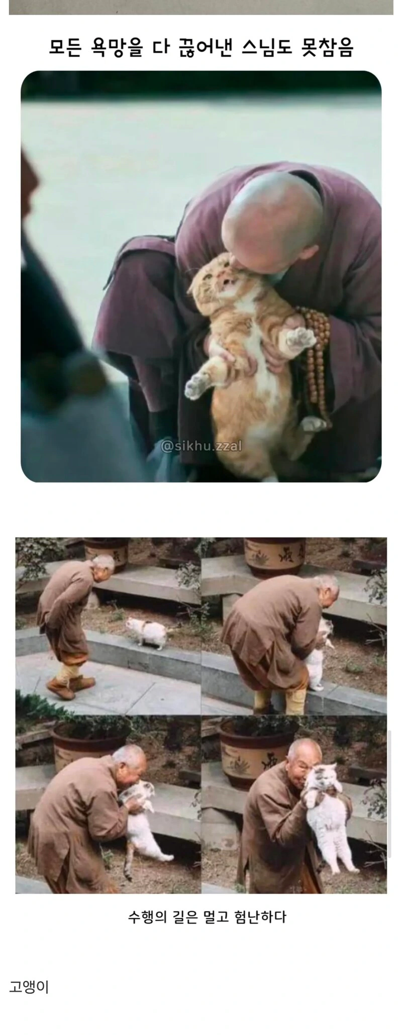 모든 욕망을 끊어낸 스님도 못참는것