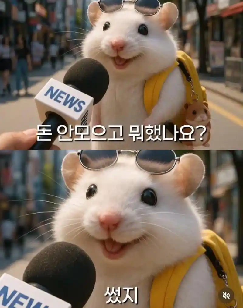 돈 안모으고 뭐했나요?
