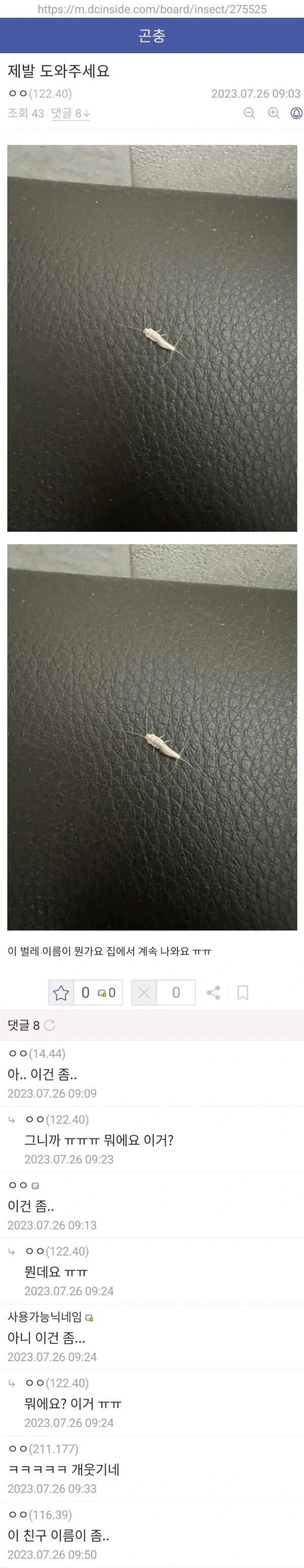 곤충 갤러리 암묵적 규칙